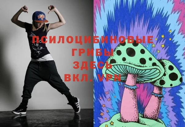 винт Ессентукская