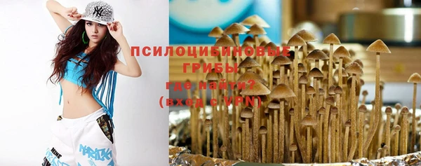 метадон Армянск
