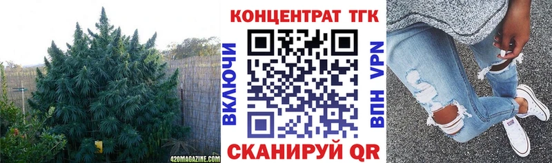 мега ссылка  купить наркотики сайты  Гурьевск  Дистиллят ТГК THC oil 