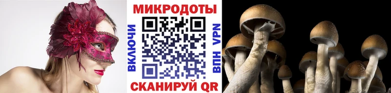 Галлюциногенные грибы Magic Shrooms  как найти   даркнет какой сайт  Гурьевск 